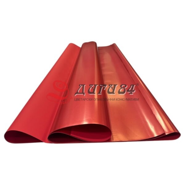 IMG_2639