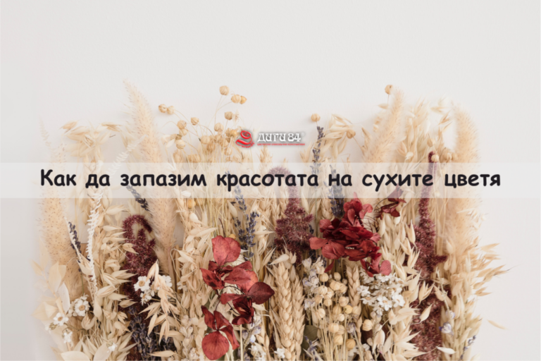 Как да запазим красотата на сухите цветя за декорация на дома