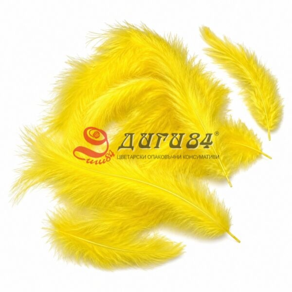AAC2BBEE-0304-4BB6-94A4-FBD1A774BF04 Пера за декорация