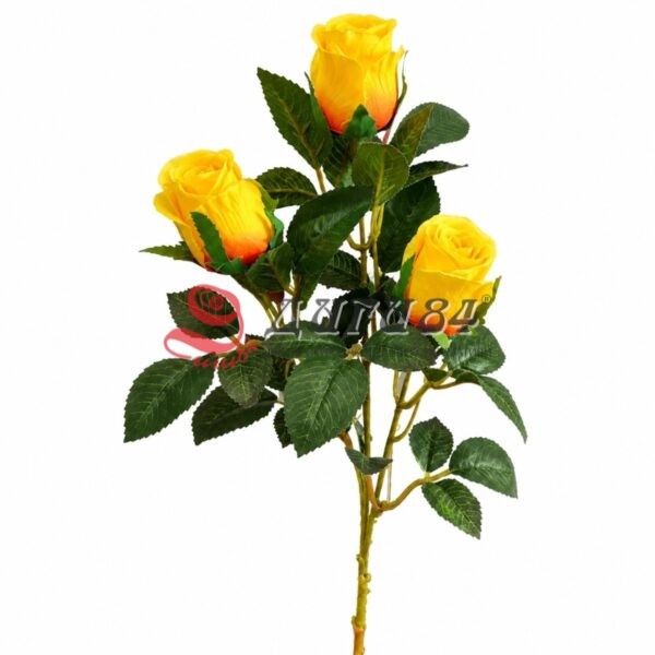 B7ACC69A-E881-4BAA-B6C5-9777E8DB273B