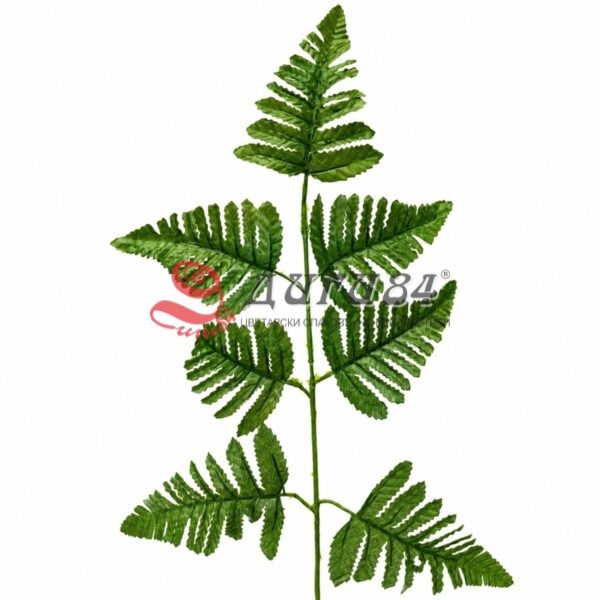 Изкуствен клон