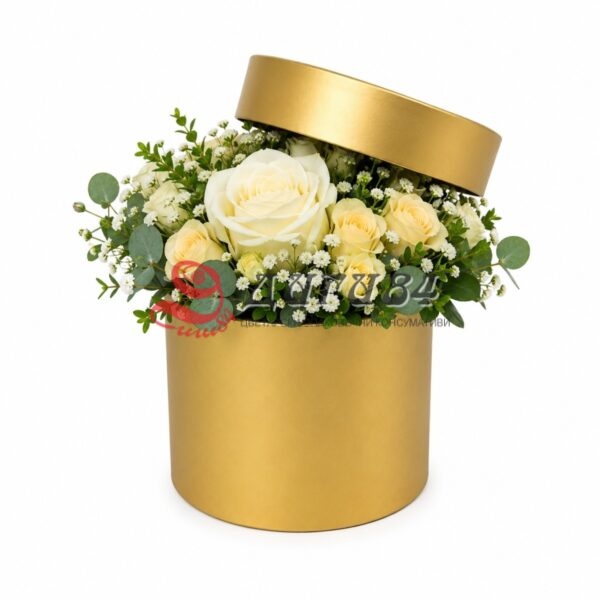 5AD3B3DF-432E-436E-8EA8-63FF8B917B62 Kутии
